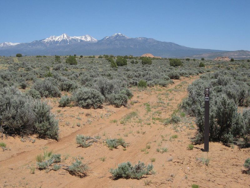 The last stretch of road to the rim.