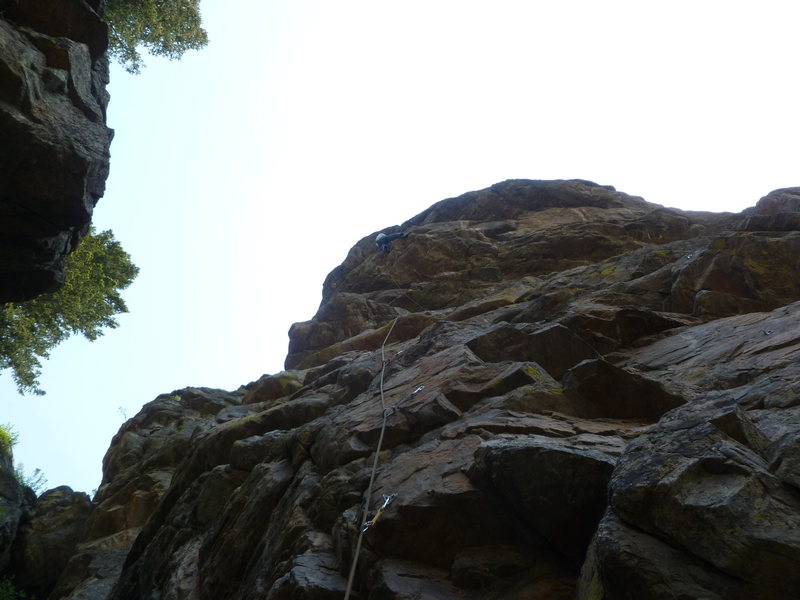Another view of the wild roof.