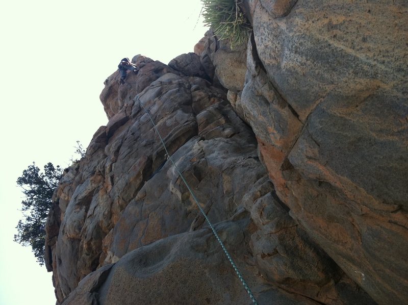 Mixed Lead for the Tower