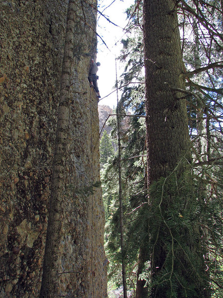 John Ross at the last, desperate bit before the chains of <em>Zen Master</em>.