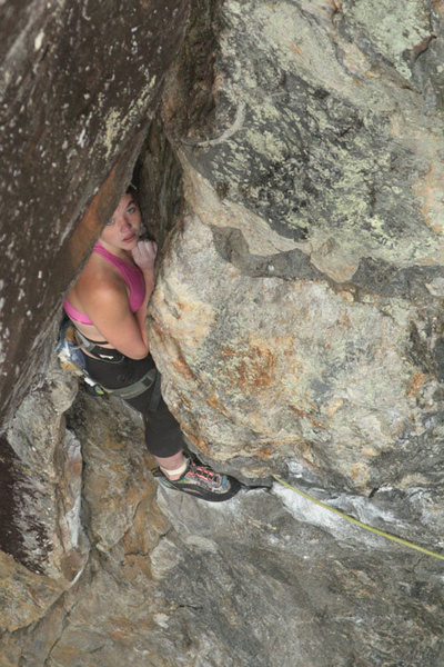 last but not least a shot of lily tucked in to the chimney rest....