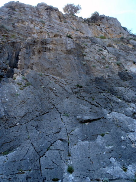 Goes up the center of the photo.