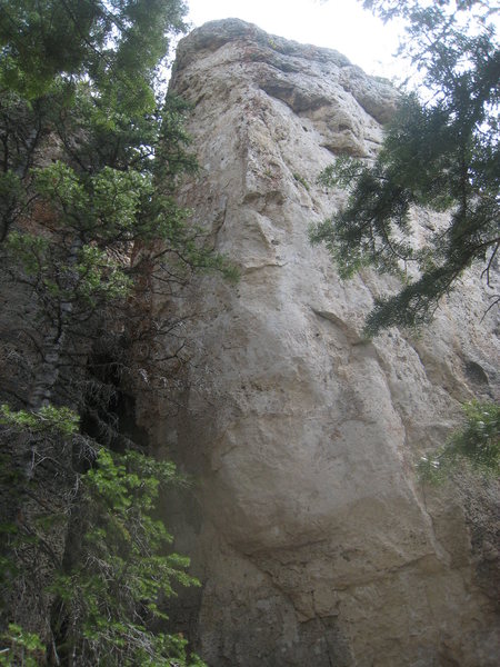 Whoa Nelly climbs the left side of the buttress.