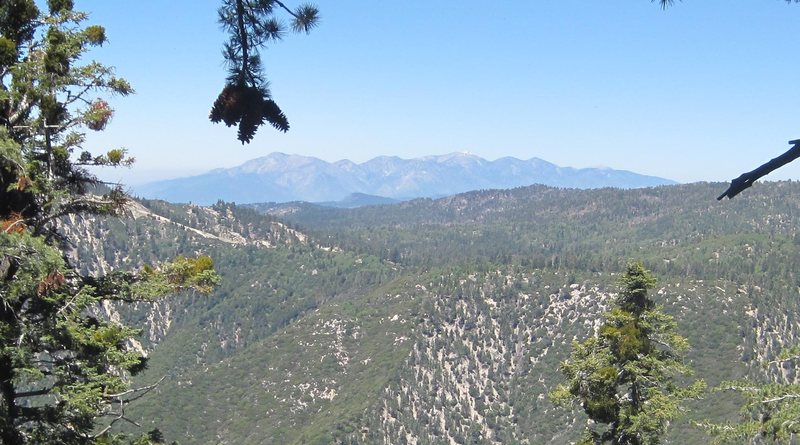 Mount Baldy from Black Bluff.
