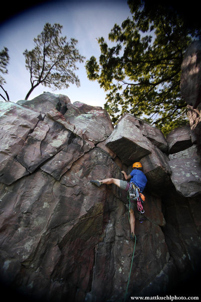 Ryan Strong below the roof. June 2011<br>
<br>
Photo Matt Kuehl