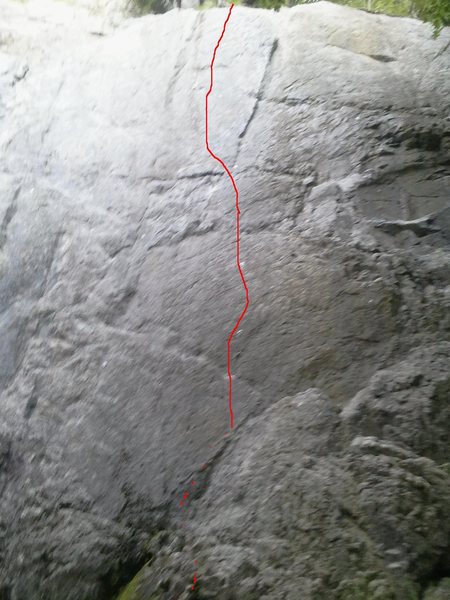 Jester 11a