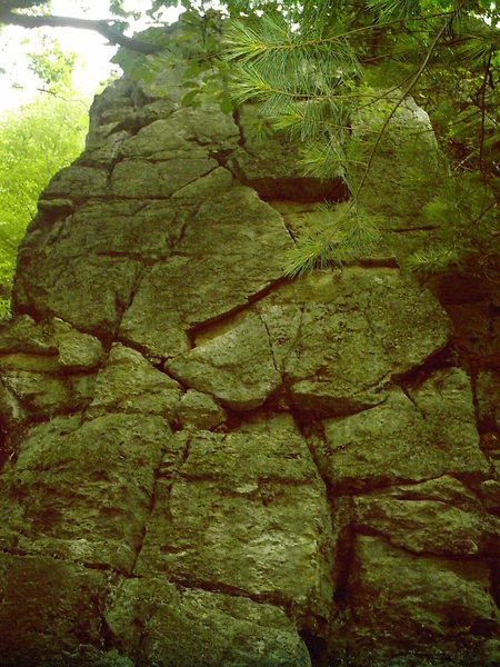 MeatHead goes up the center.