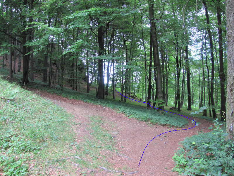 The trail I prefer to get to the Kleine Hexen müssen hexen section.