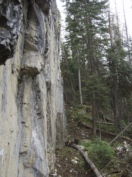 Profile shot of West end of Blue Marble Wall (story #1) when first discovered.