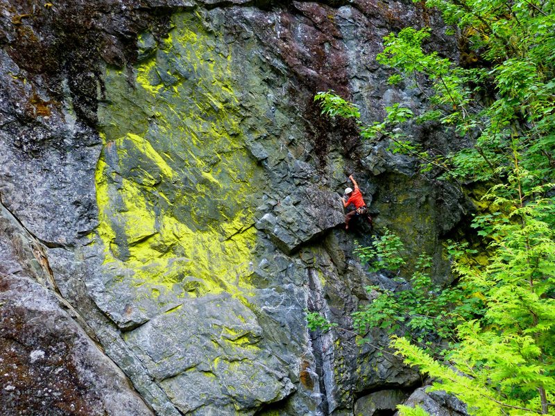 Climber on The Mutation