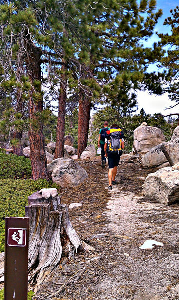 Follow the cairn trail to the climbers trail