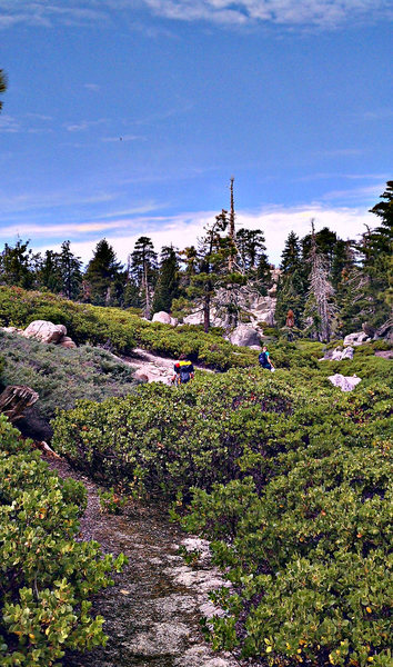 As you get into the trail that is lined by beautiful manzanita,the cairns will be more frequent.Leading you up over a small ridge,then to the approach gully.