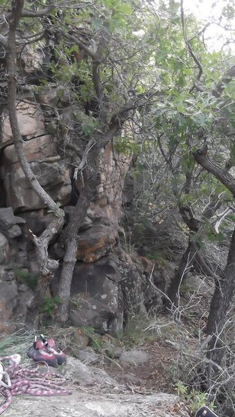 Late night questioning is on the left. Straight ahead is where the trail heads towards the river and emerges at the boulder field.