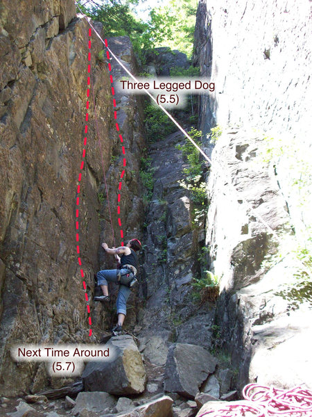 Repo 1 routes