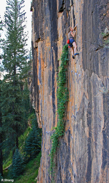 Andrea moves past the hops and the crux.<br>
Mild Hops (5.10).