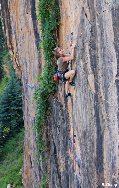 Focused for The Send.<br>
Mild Hops (5.10).