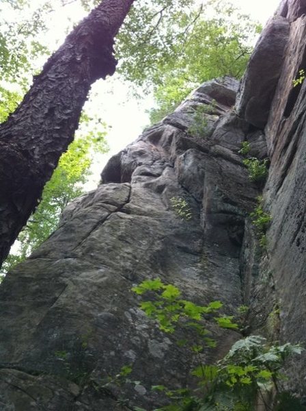 Hoedown crack. Below the crack is the bouldery start
