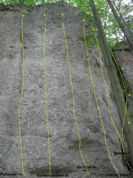 Next section further to the right. Bordered on one side by a big mossy crack.