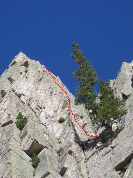 Periquita 5.8