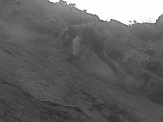 sweeping on the way down