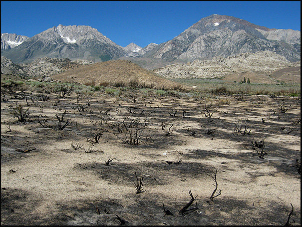 2011 fire. About a mile and a half from the boulders.<br>
Photo by Blitzo.