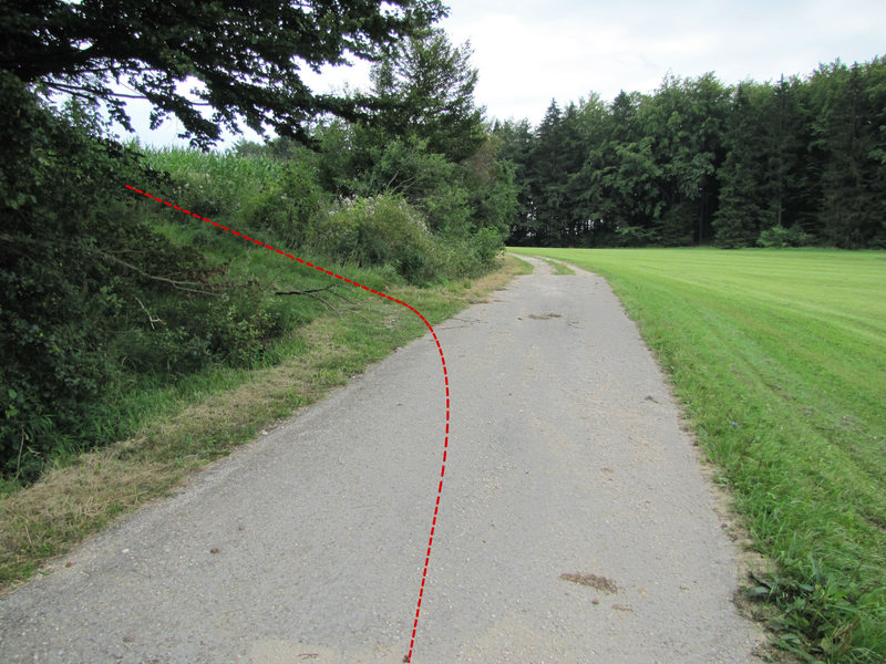 Take this left at the edge of the forest, right before the pavement ends.