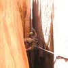 180 feet of lounge chair witdth chimneying? Yes please. "The Birth Canal" Disco Inferno, Zion NP