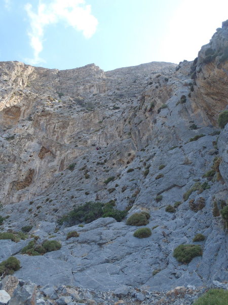 Looking up at Wild Country.