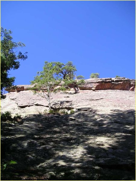 At the base of the East Face. The crux roof is just above the higher tree.