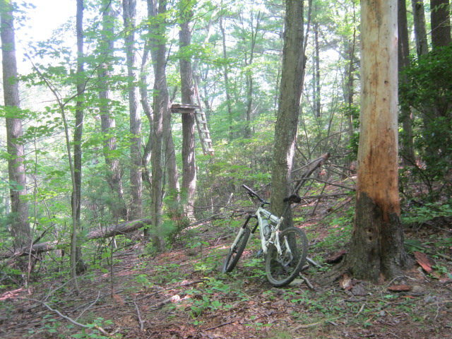 Head down hill towards the deer stand.