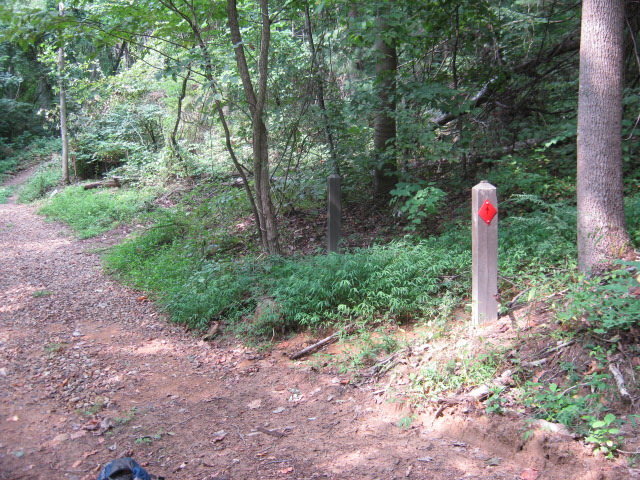 This is first Red Trail post will reach...don't follow the arrow...instead head right up trail.