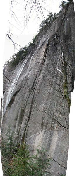 Potential two pitch route with 2 finishes in the middle of the Beanstalk Wall. (see http://www.mountainproject.com/v/108130438 ) It will need quite a bit of trundling and cleaning and a few bolts on the second pitches plus bolted anchors, but will be pretty classic if done. <br>
<br>
3 photos stitched together<br>
Edit - now Squeeze Box and Happy Camper<br>
<br>