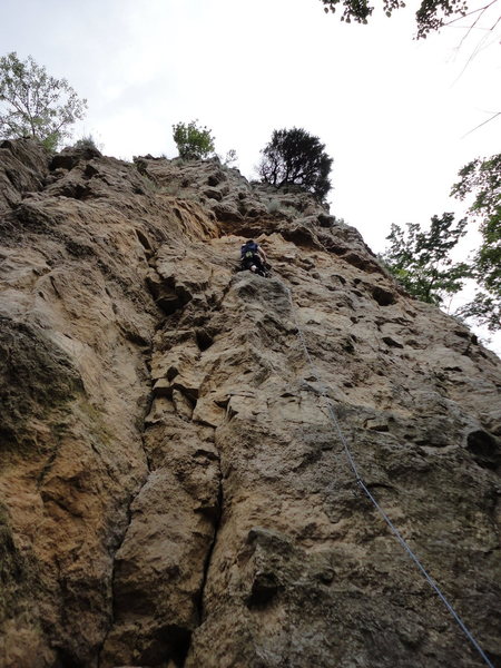 Leading Rock-a-holics.
