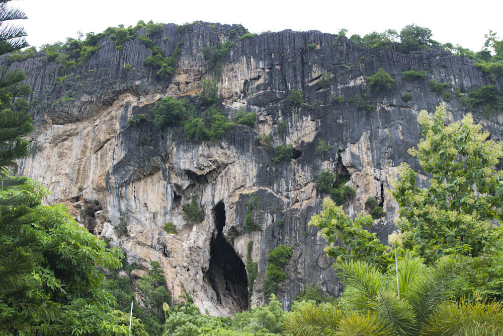 The bat cave wall, eastern Thailand.