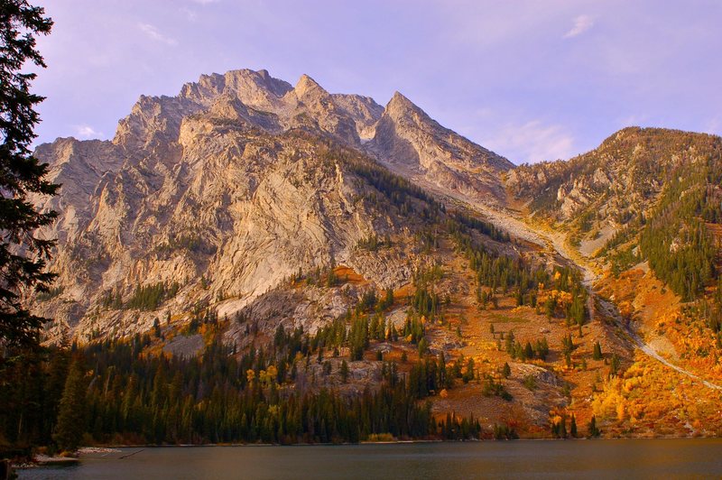 Mt. Moran from Leigh Lake, with the East and West Horns bracketing the hidden Falling Ice Glacier. The glacier's long scree couloir drops 2,500 feet to the shores of the lake.