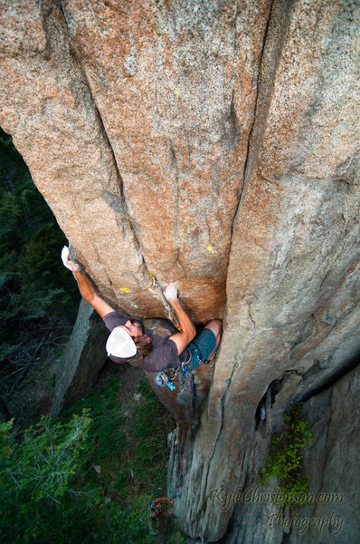 Reaching for the jug!<br>
<br>
Photo by Kyle Christenson