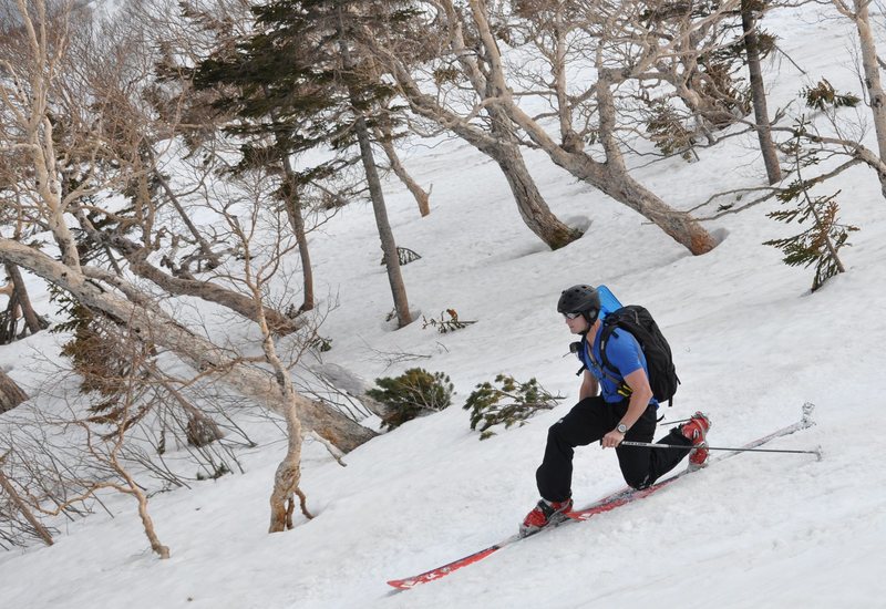 Backcountry Skiing in Japan