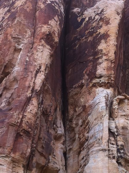 how can you walk by and not want to climb this?