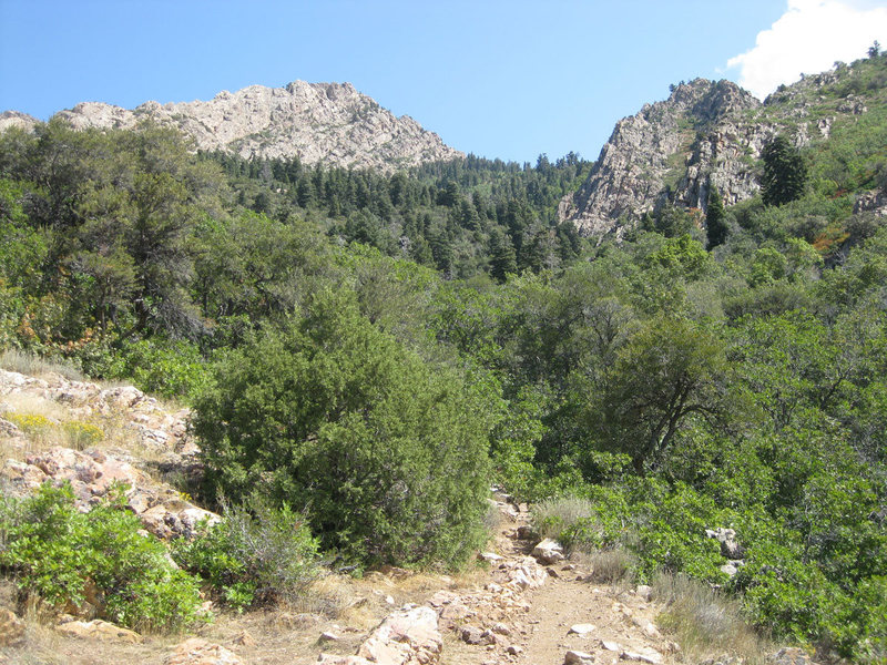Geurt's Ridge on the left, Forgotten Arete on the right. The Mt. Olympus trail goes through the dark pine trees in the center of the photo.