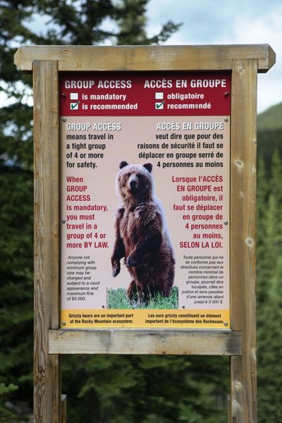 Before going into the back country it is best to check at the rangers station if there is any recent bear activity.