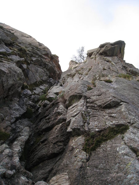Looking up at the 1st pitch. Climb in the gulley for a few moves, then exit right and head for the tree.