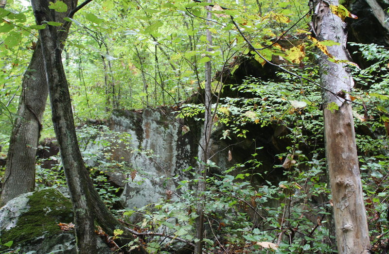 as seen from trail .