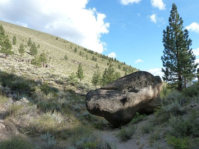 The trail to Area 13 breaks off just uphill from this boulder, Clark Canyon