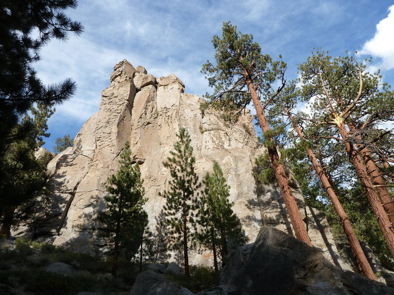 Stoned Wheat Thin Cliff, Clark Canyon