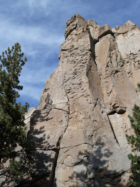 Stoned Wheat Thin Cliff (left side) detail, Clark Canyon<br>