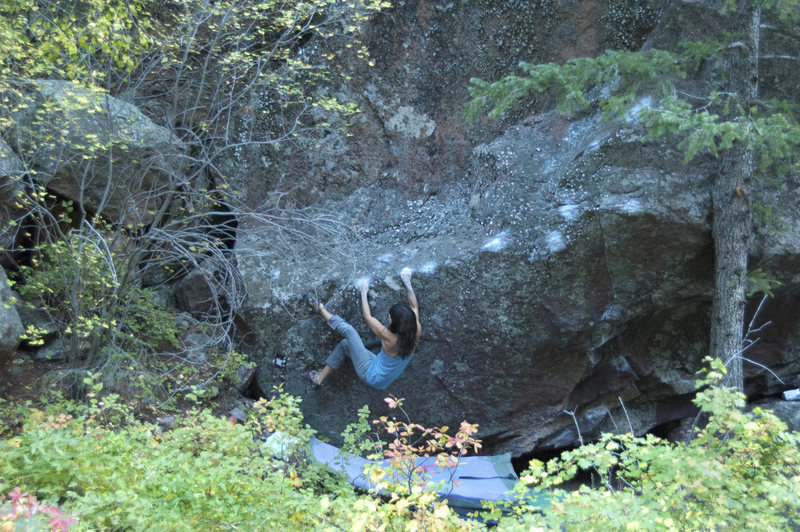 Sarah starts the Survival of the Fitness, V7.