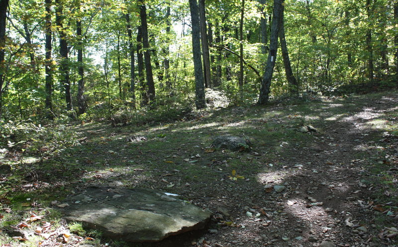 when reach this section of trail head left to reach main climbing area.