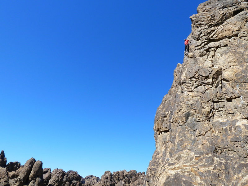 Jason high above it all on Custom Tailored (5.7), NJC<br>