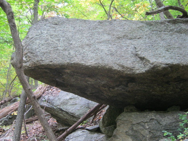 Wing of Stone
