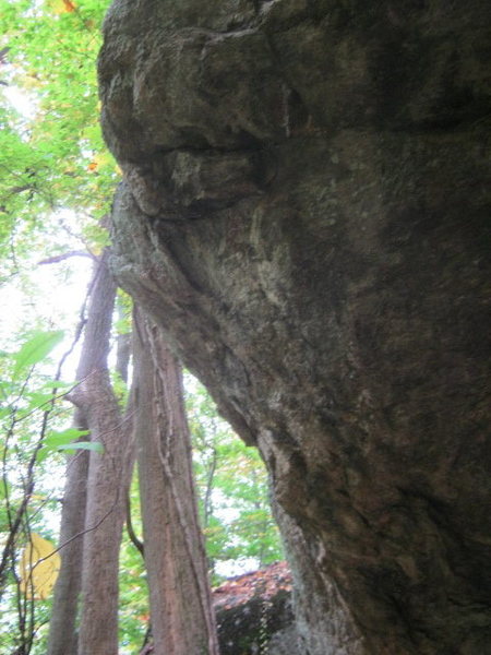 underside of upper reaches.
